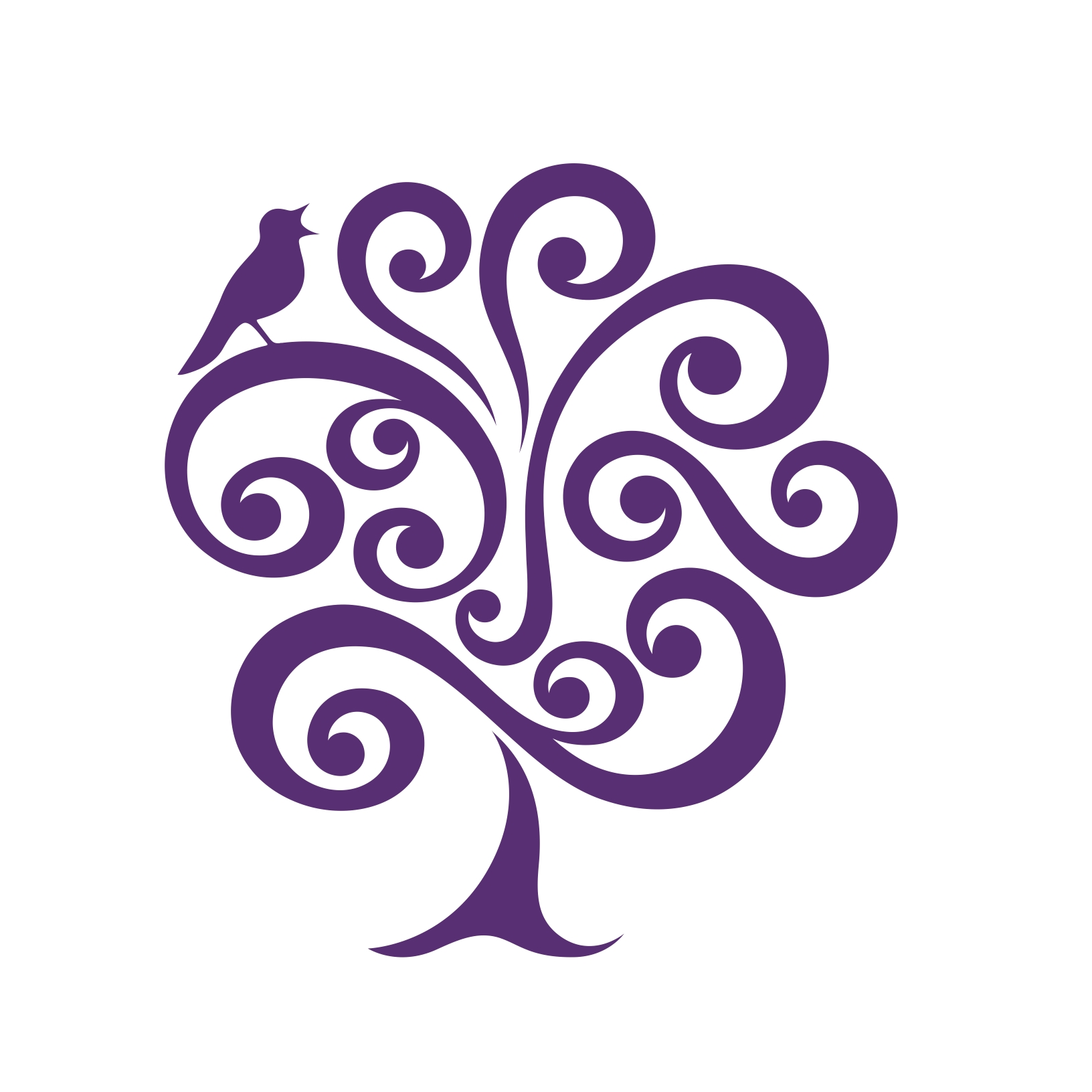 National Center for Spinal Disorders