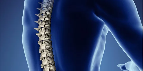 Spinal Curvature