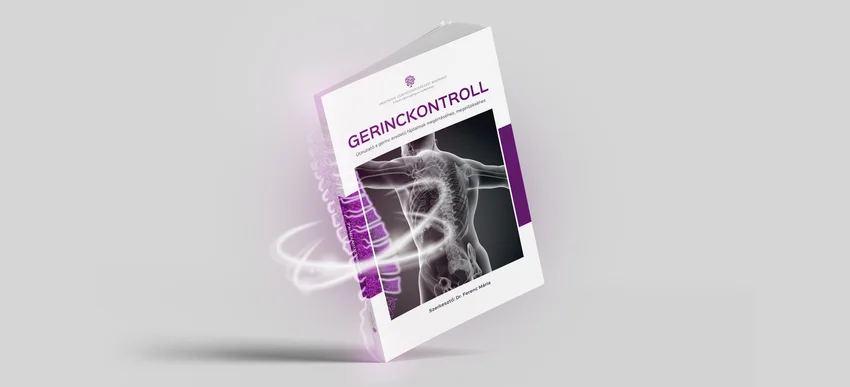 Gerinckontroll