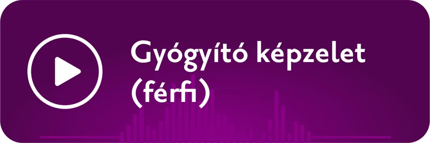 Gyógyító képzelet ismertető